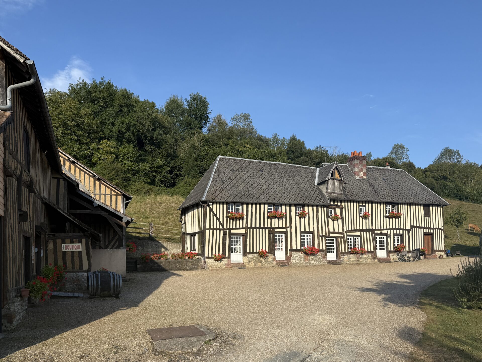 Cave le Perrey Picot